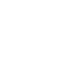 Security