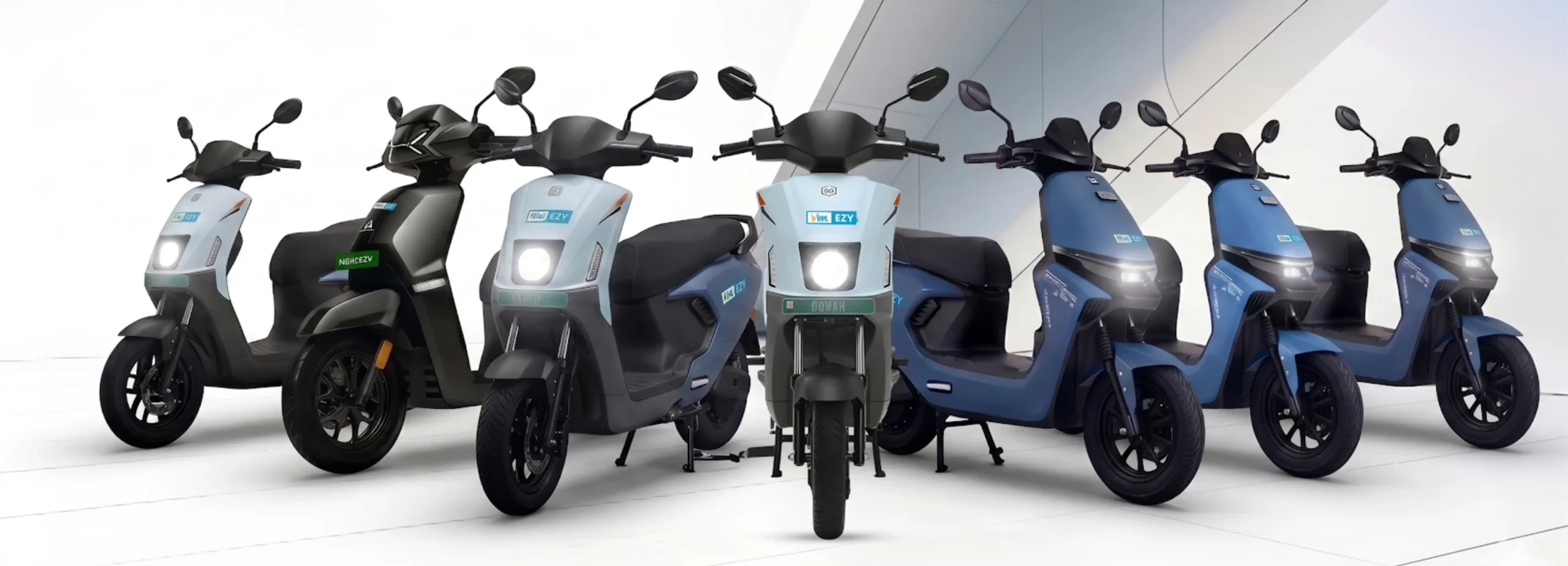 Electric Vehicle Franchise